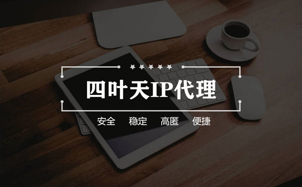 【赵县代理IP】如何快速搭建代理IP？怎么检查代理的效果？